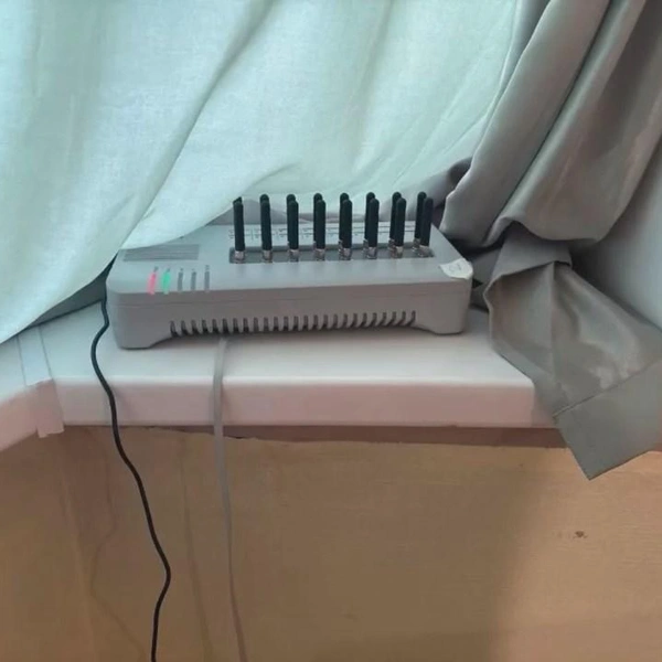 Источник: ГУ МВД РФ по Санкт-Петербургу и Ленобласти