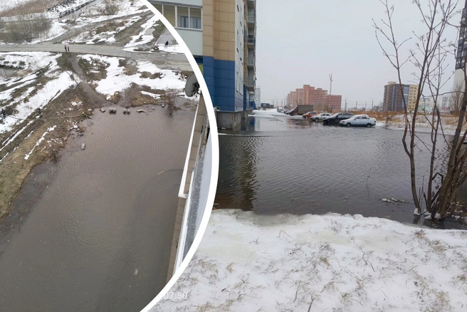 Местная жительница сообщила, что проблема появилась несколько дней назад | Источник: предоставила Елена