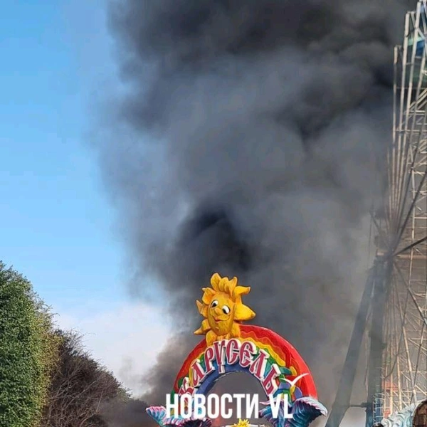 Источник: vl.ru