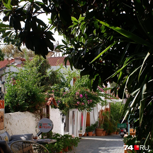 Источник: Наталия Колмогорова