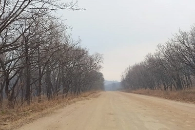 В Амурской области объявлен желтый уровень метеоопасности