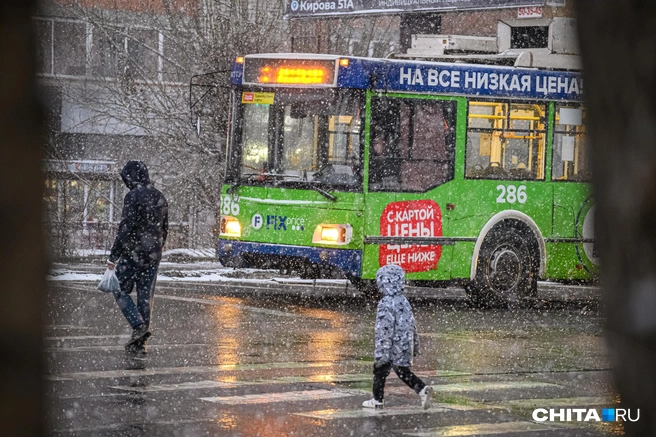 Ожидается мокрый снег | Источник: Олег Фёдоров / CHITA.RU