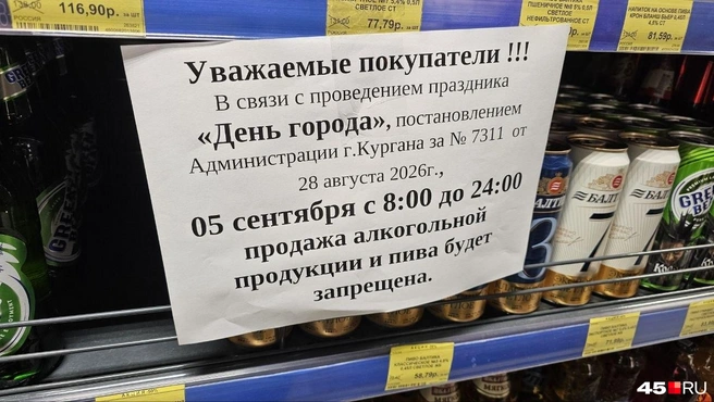 Источник: Дарья Никитченко / 45.RU