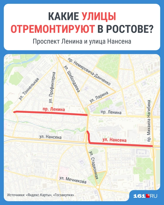 Источник: Мария Романова / 161.RU