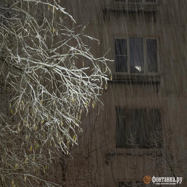 Источник: Сергей Николаев / «Фонтака.ру»