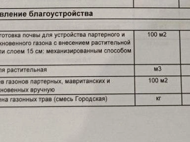 В смете на посев газона заложено 5,6 миллиона рублей. | Источник: читательница E1.RU Ольга