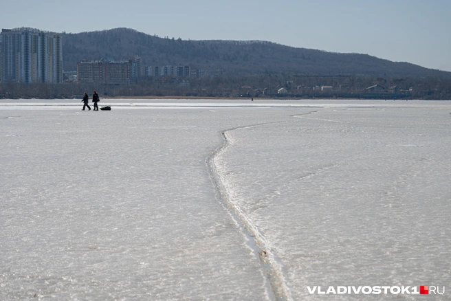 Источник: Елена Буйвол / VLADIVOSTOK1.RU