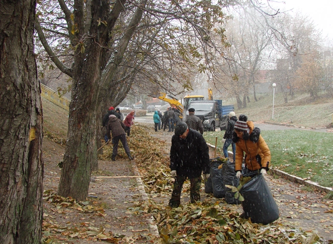 Сотрудники аппарата областной Думы приняли участие в уборке Лыбедского бульвара | ya62.ru