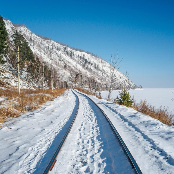 Источник: ALEKSANDR RIUTIN/Shutterstock/Fotodom.ru