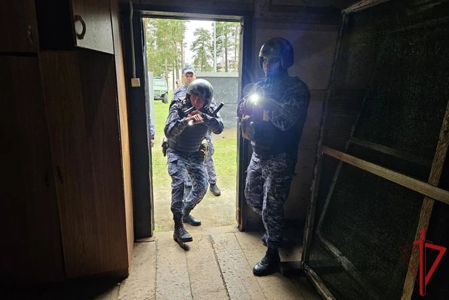 Источник: 60.rosguard.gov.ru