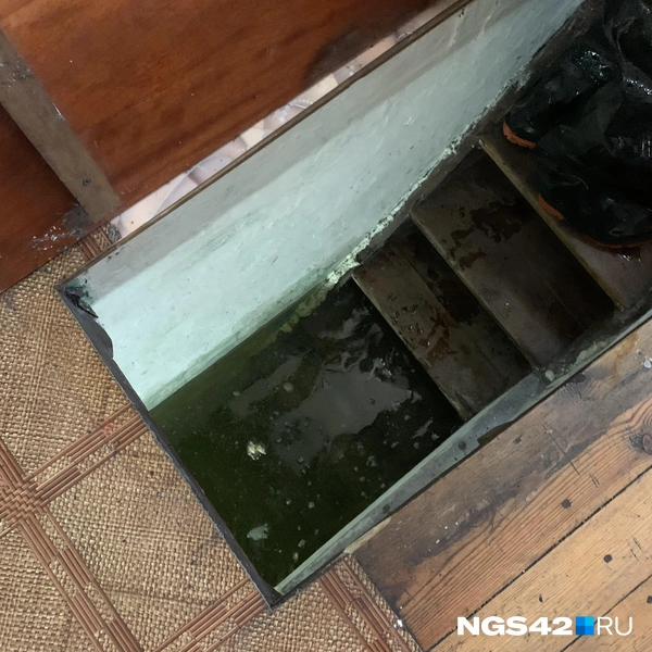 Источник: Татьяна Ирискина / NGS42.RU