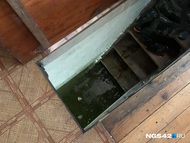 Источник: Татьяна Ирискина / NGS42.RU