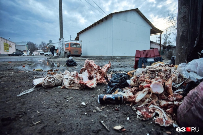 А сколько вы готовы платить за вывоз мусора? | Источник: Роман Данилкин / 63.RU 