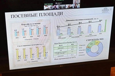Демешин поставил задачи по развитию сельского хозяйства края