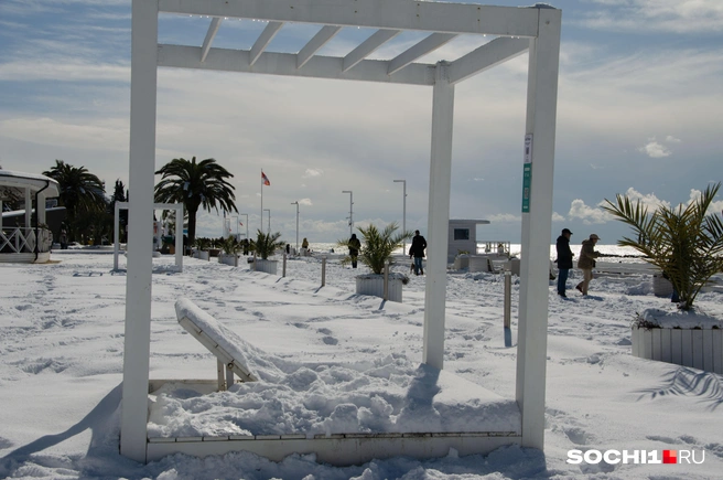 Шезлонги и бунгало в снегу | Источник: Оксана Витязь / SOCHI1.RU