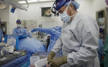 Ученые нашли способ пересаживать органы свиней человеку — раньше трансплантаты часто отторгал организм