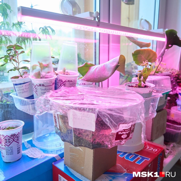Источник: Дмитрий Толстошеев / MSK1.RU