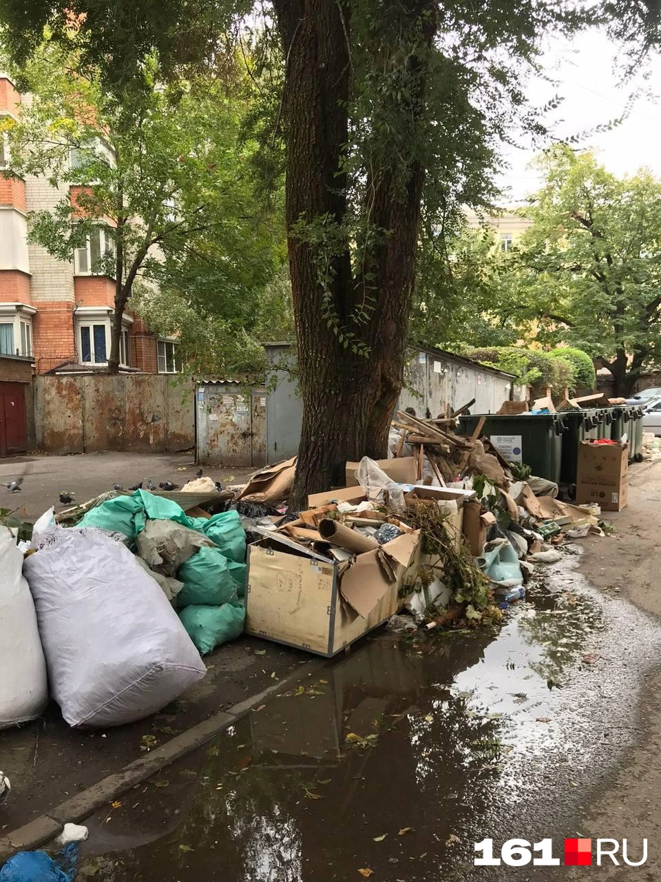 В Ростове горы мусора скопились в Александровской роще, ржавая вода и  затопленные дворы — фото и видео, обзор коммунальной жести - 15 октября  2023 - 161.ру