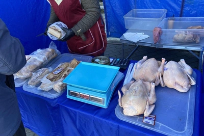 В Барнауле ярмарки принесли 11,1 млн рублей за день