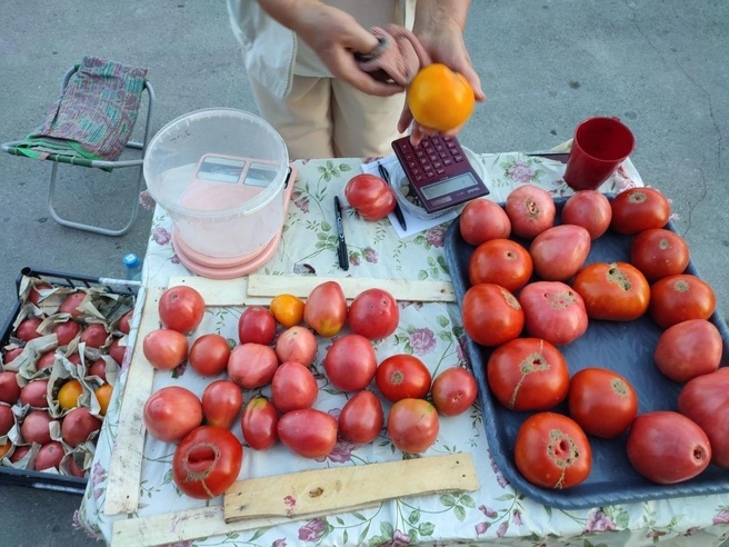 На столике Веры, заверила одна из продавщиц, только свои помидоры: стоят они по 450 рублей | Источник: Илья Калинин / NGS.RU