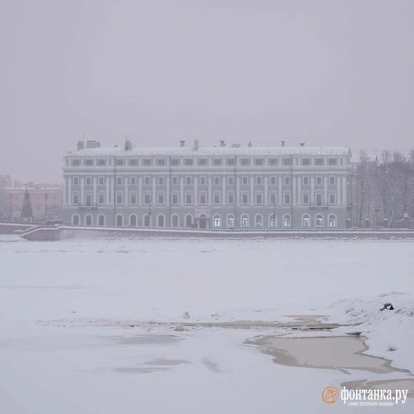 Источник:  Павел Даиси / «Фонтанка.ру