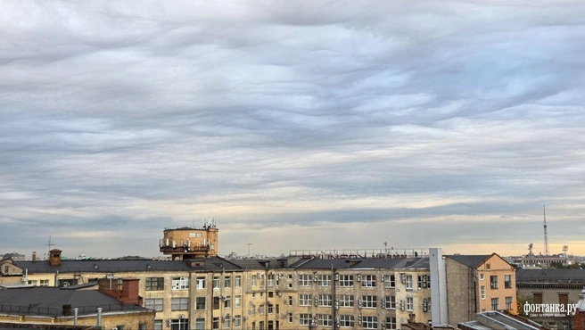 Вымеобразные облака повисли над Петербургом: фото | Источник: читатель «Фонтанки»