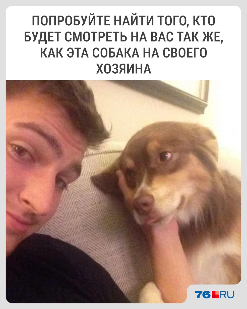 Этот взгляд полон любви | Источник: Городские медиа