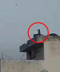 Обезьяна, запускающая воздушного змея, попала на видео