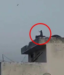 Обезьяна, запускающая воздушного змея, попала на видео
