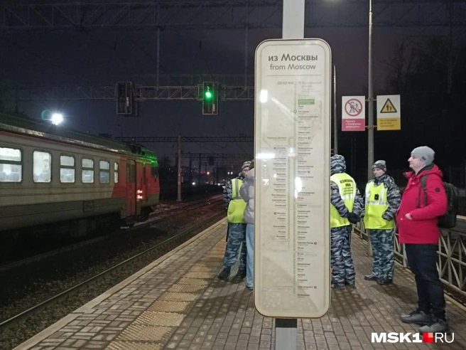 По одной из версий, погибшие были безбилетниками. По другой — шли пешком с соседней станции | Источник: Анастасия Харитонова / MSK1.RU