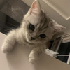 userpic__elenmineev