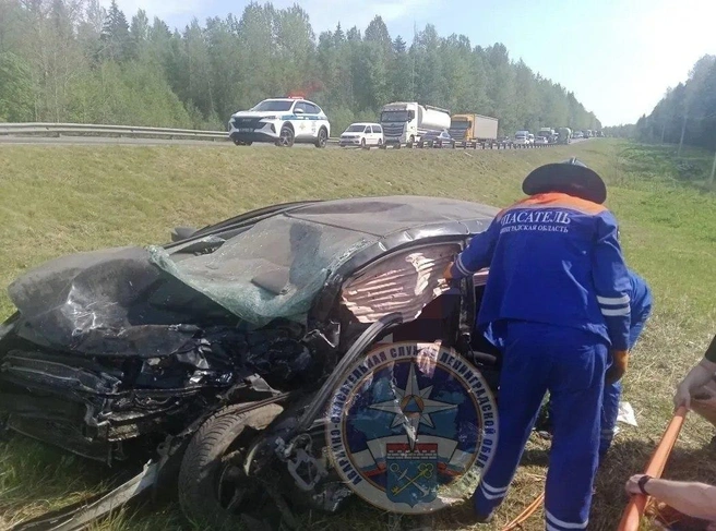 Один человек погиб и двое пострадали в ДТП на Мурманском шоссе в Ленобласти | Источник: Аварийно-спасательная служба ЛО