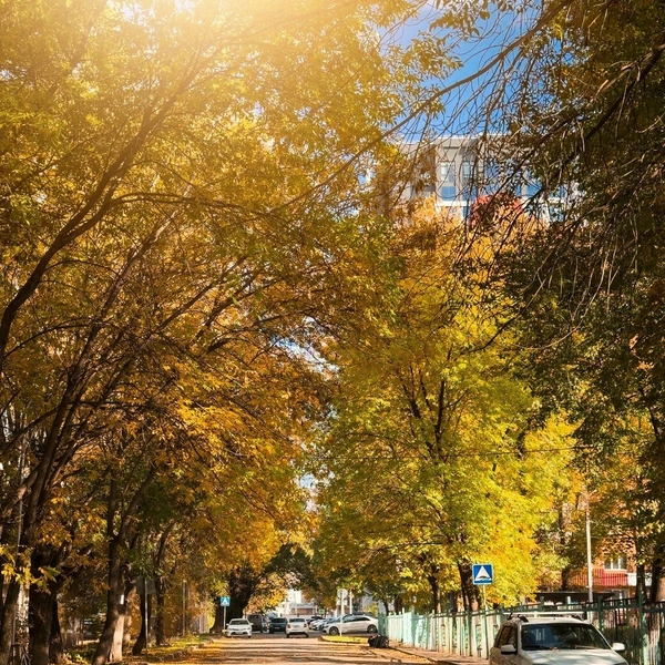 Из Ханты-Мансийска фотограф полетел в Уфу | Источник: Сергей Коршилов / Вконтакте