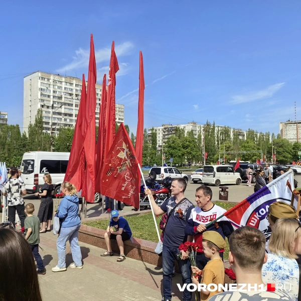 Источник: Андрей Пашинский / Voronezh1.ru