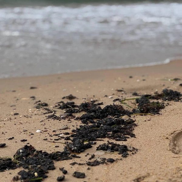 Источник: 93.RU | Новости Краснодара и края / Телеграм