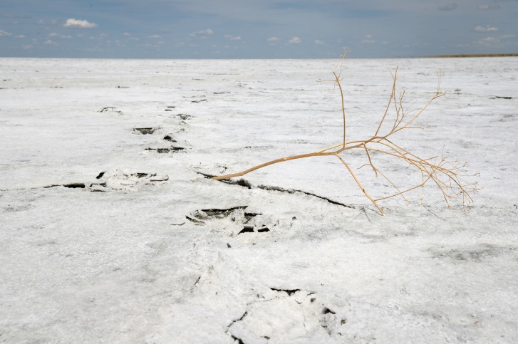 Пугающие миражи и хруст соли под ногами: зачем туристы едут на озеро Булухта, не имеющее границ