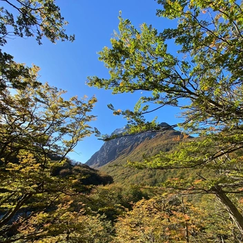 Источник: Андрей Виноградов