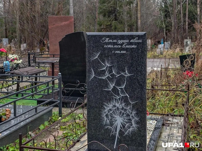 Одуванчик, который после расцвета превращается в воздушный, уязвимый шарик из семян, олицетворяет тяжелобольного человека, который доверяется «ветру» | Источник: Булат Салихов / UFA1.RU