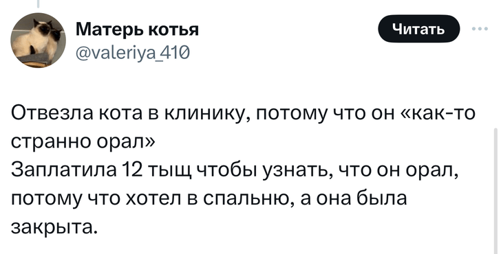 В «Твиттере» делятся тупыми причинами, по которым возили животных в ветеринарные клиники. И это уморительно!