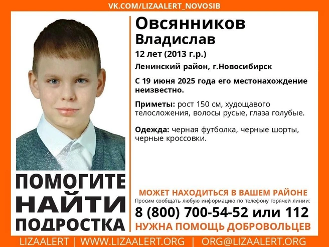 Ребенок был в футболке и шортах  | Источник: lizaalert_novosib/vk.com