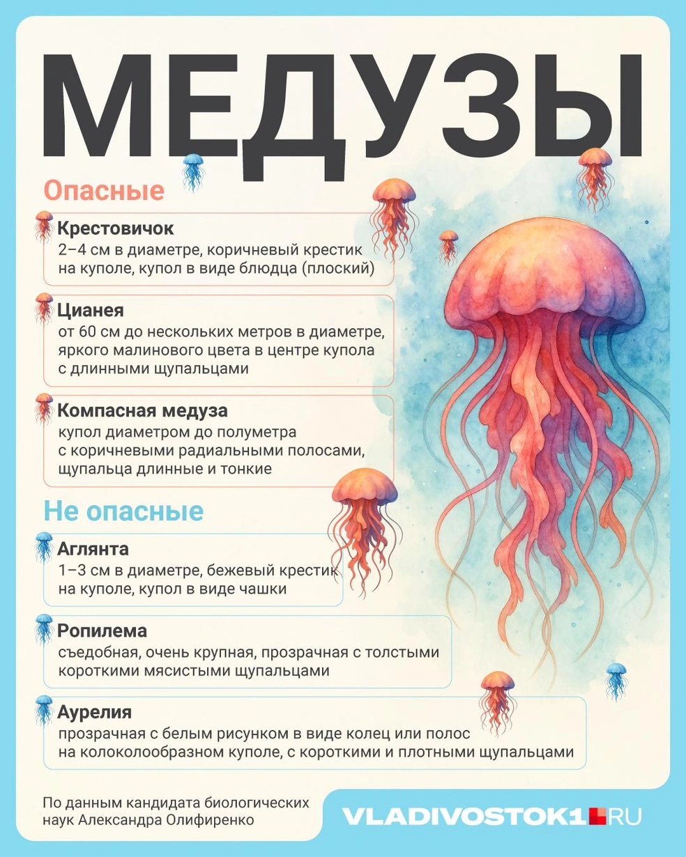 Источник: Полина Авдошина / Городские медиа