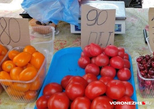 Источник: Евгения Гвозденко / Voronezh1.ru