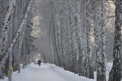 When Warming Will Arrive in Omsk Oblast