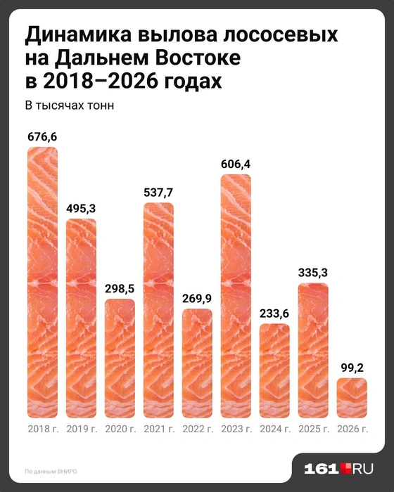 Лососевую путину-2026 признали самой слабой за последние десятки лет  | Источник: Евгения Бикунова / Городские медиа
