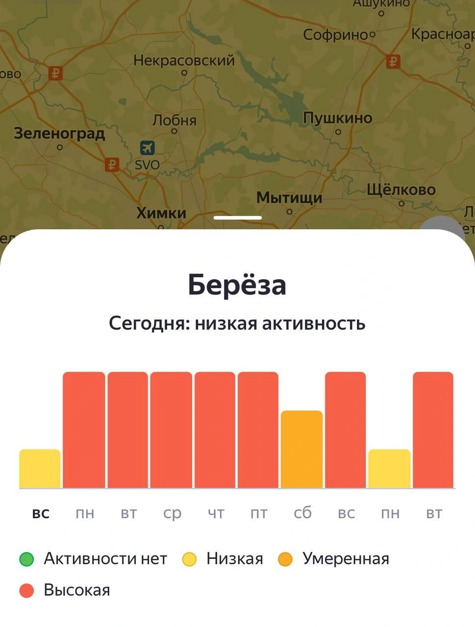 Источник: «Яндекс»