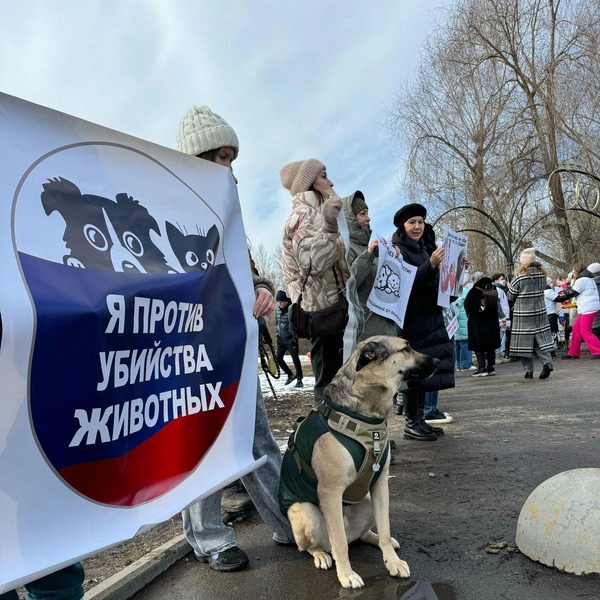 Источник: предоставлено Мариной Банницыной