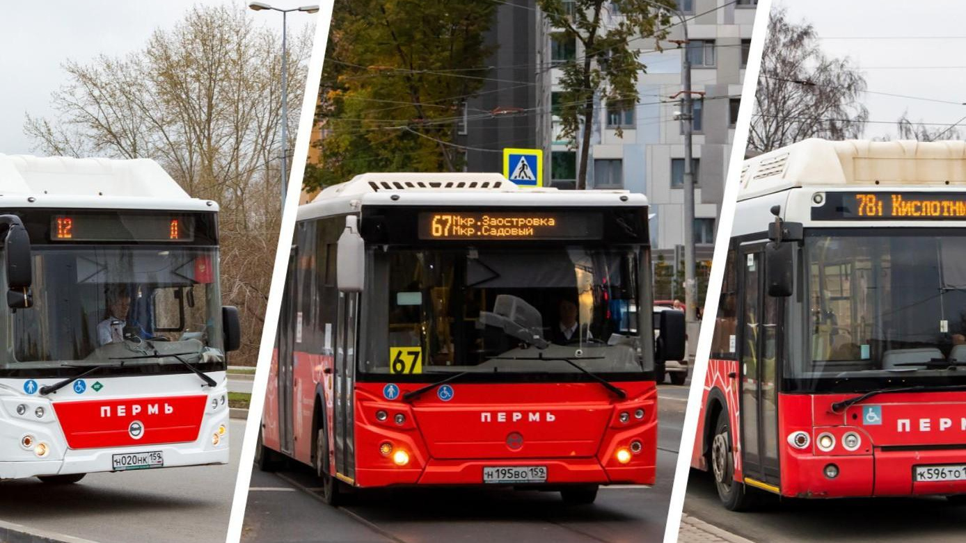 Вновь поменяют и вернут 78-й: в Перми летом изменят автобусные маршруты — разбор