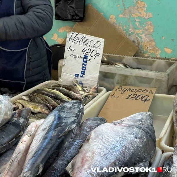 Источник: Елена Буйвол / VLADIVOSTOK1.RU