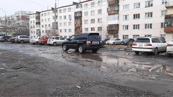 Пока чиновники лишь изучают этот вопрос | Источник: Анастасия Харламова / NGS70.RU