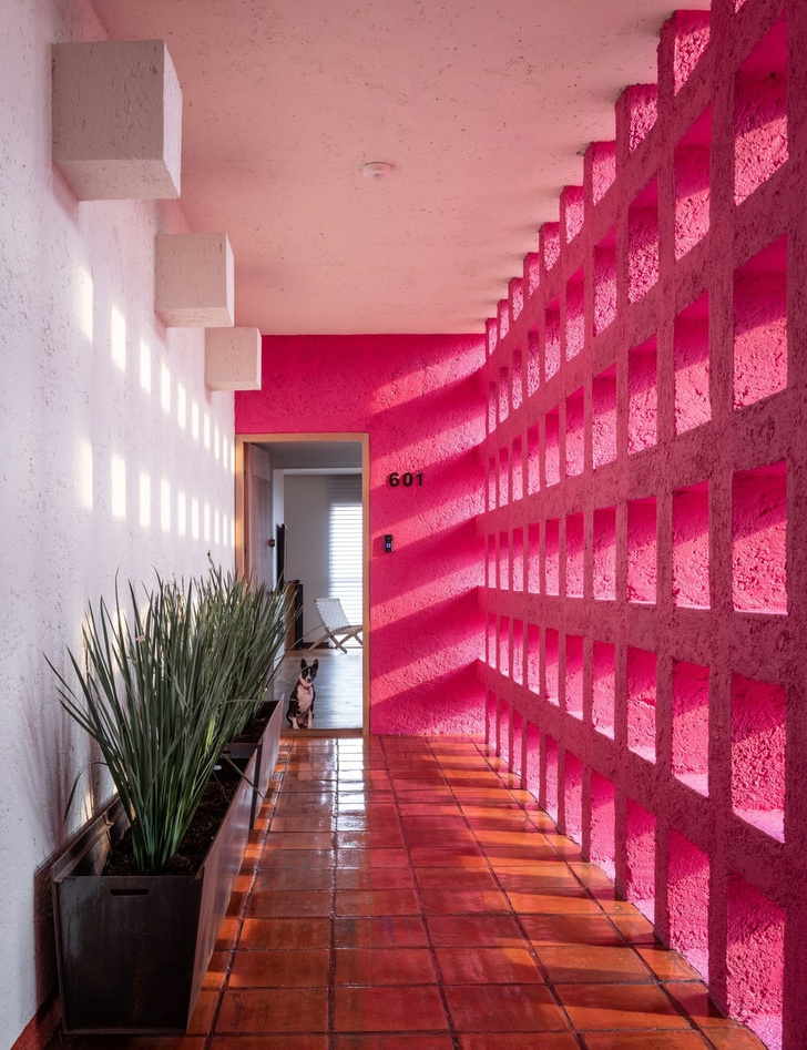 Квартира в высотке с розовым коридором в Мехико (фото 0)
